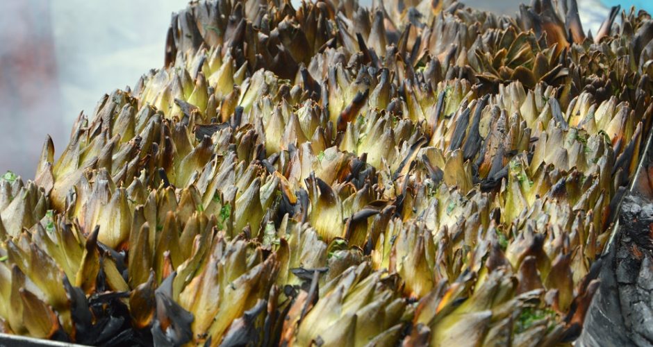 Ode ai carciofi: tra storia e leggenda