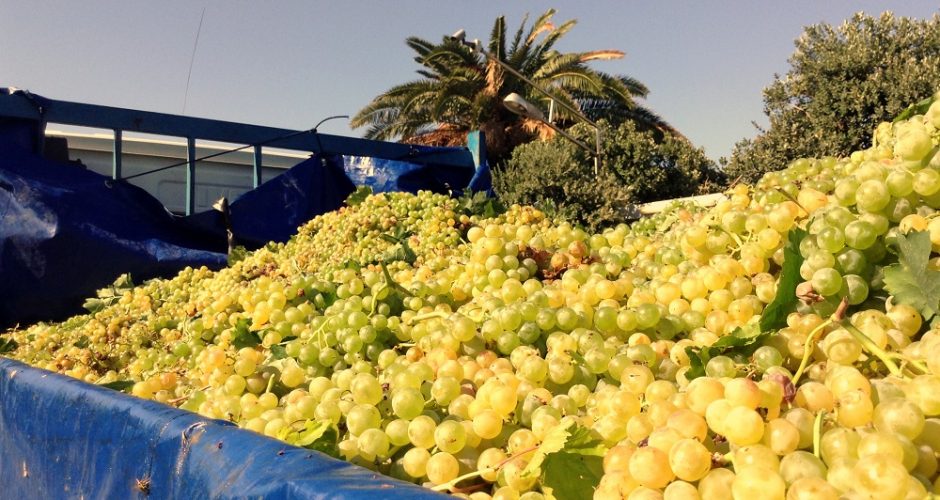 TastEtna: tre giorni di gusto