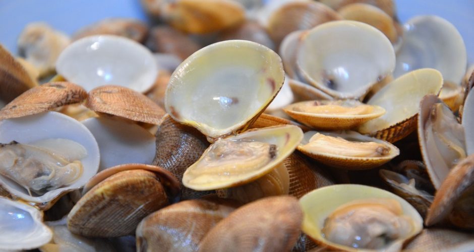 8 ricette perfette con i frutti di mare !!