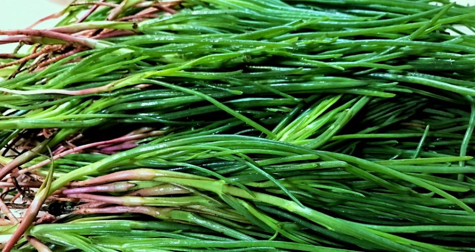 Agretti … ed è subito primavera !!!