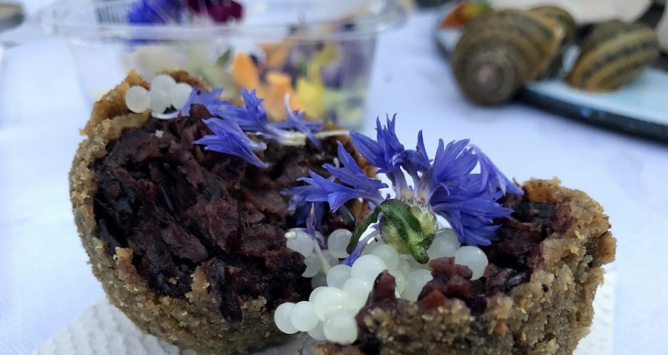 Cibo Nostrum 2017 : tutto il gusto del nostro cibo.