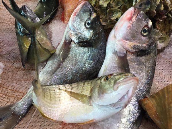 Perchè Si Dice Sano Come Un Pesce